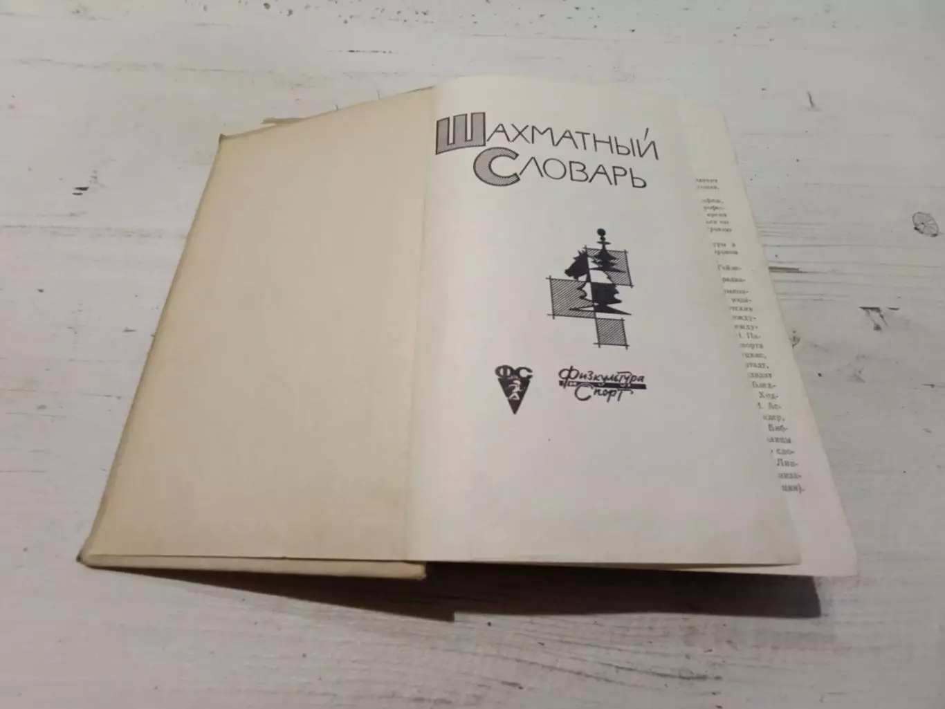 Шахматный словарь 2