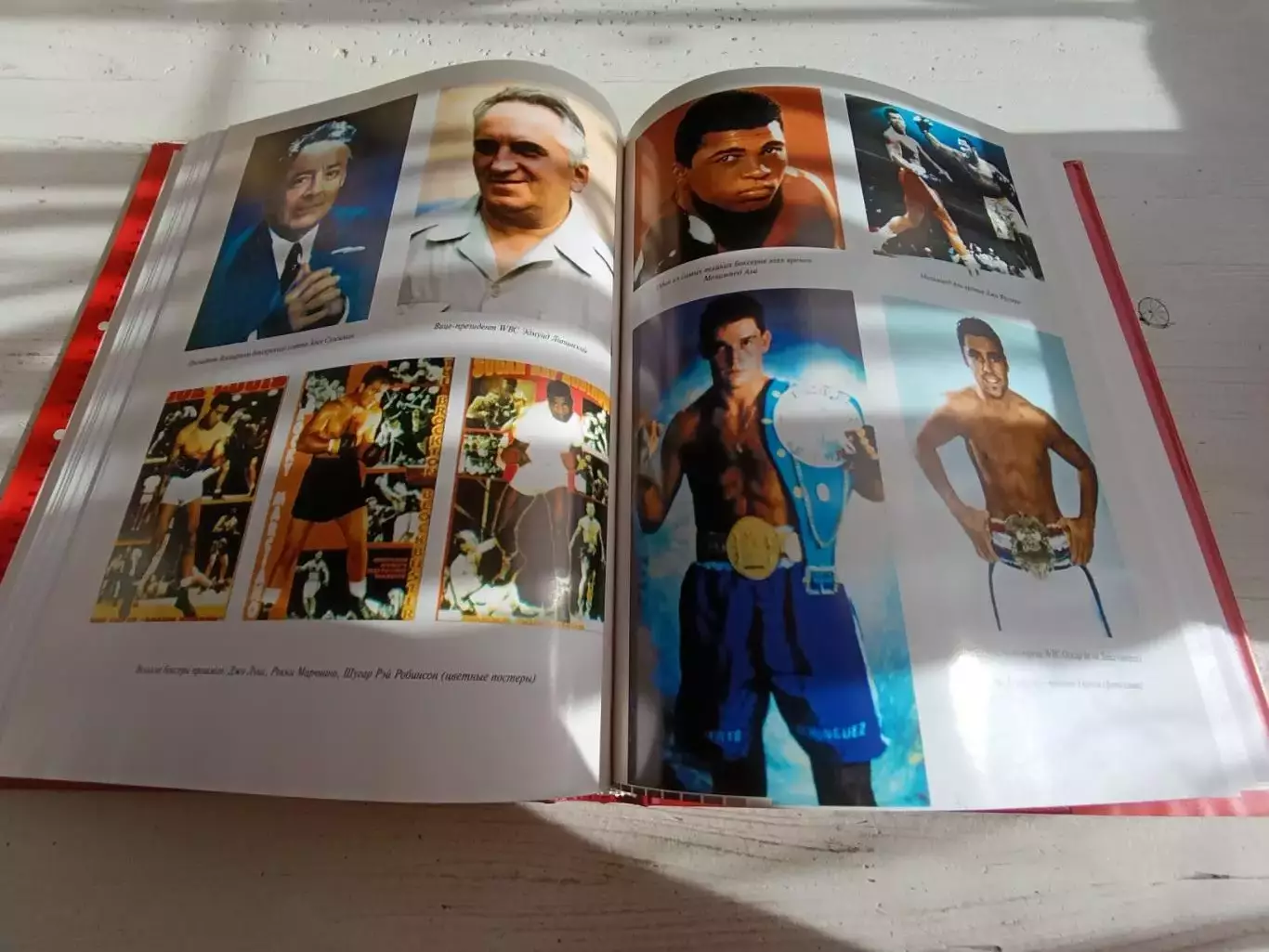 Тараторин Бокс энциклопедия 5