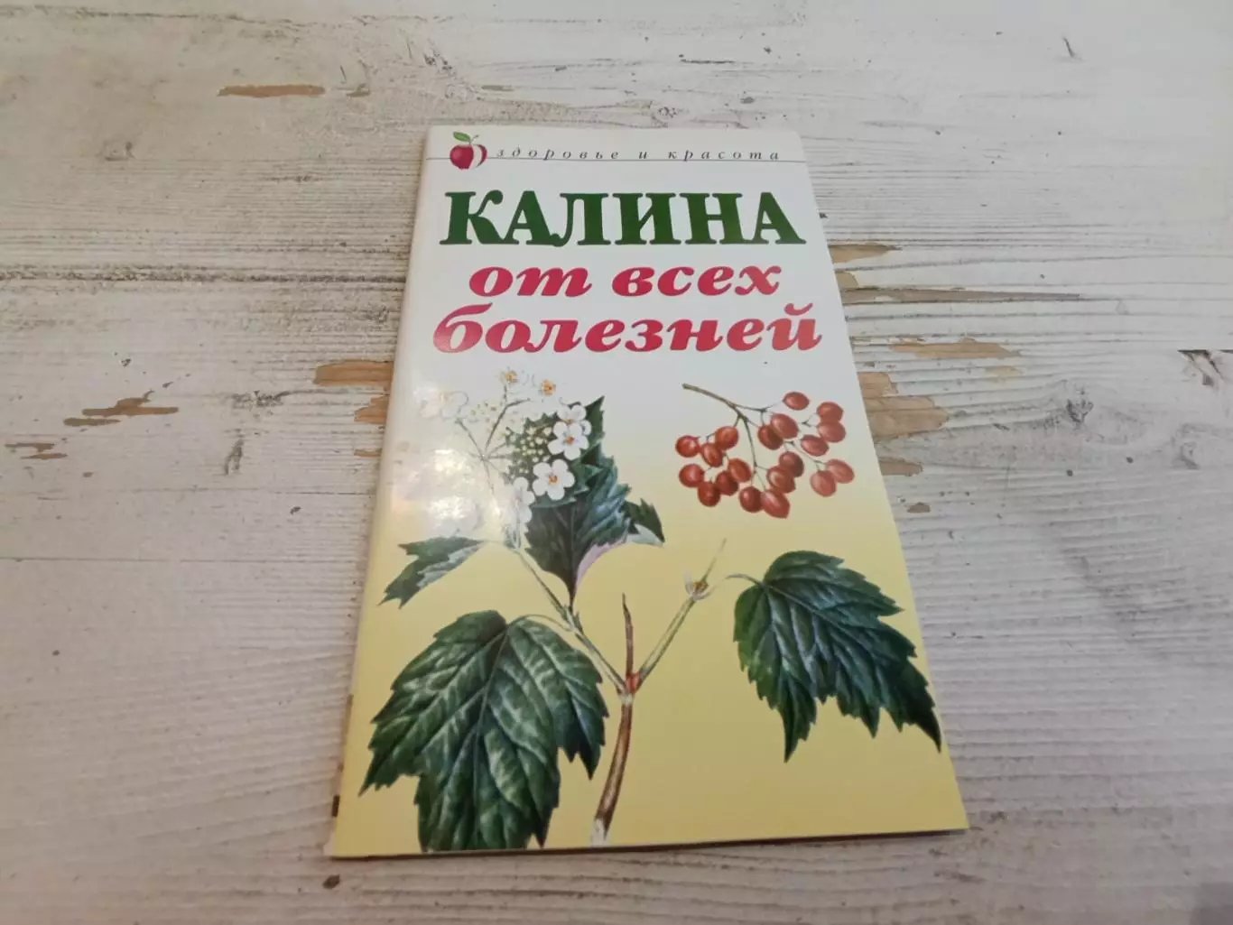Репейникова Калина от всех болезней