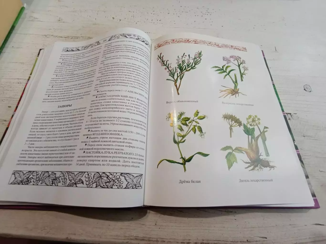Ужегов Золотая книга народной медицины 4