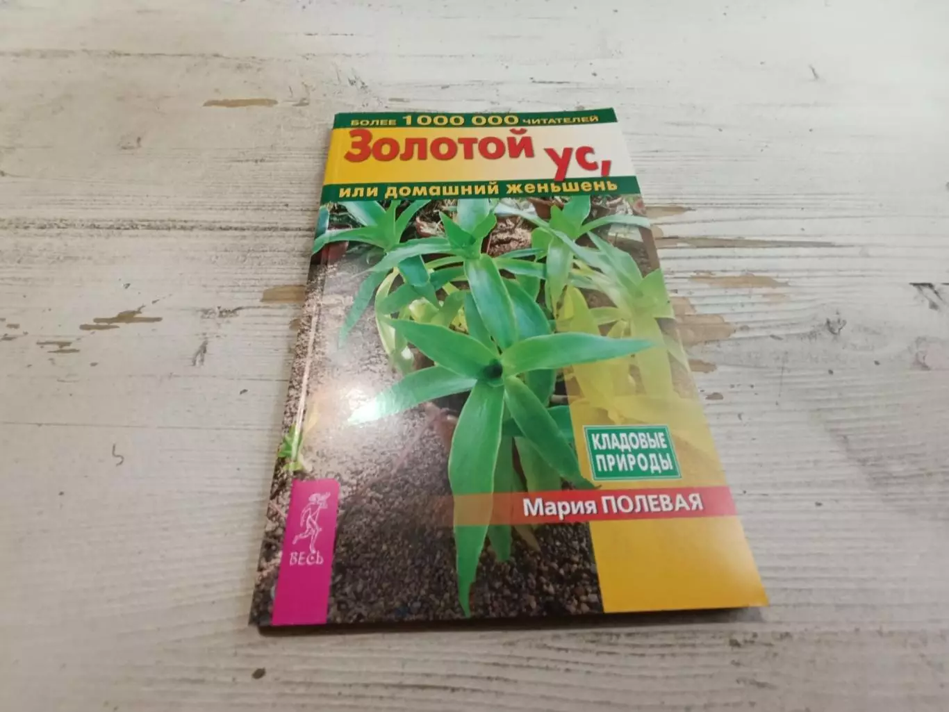 Мария Полевая Золотой ус или домашний женьшень