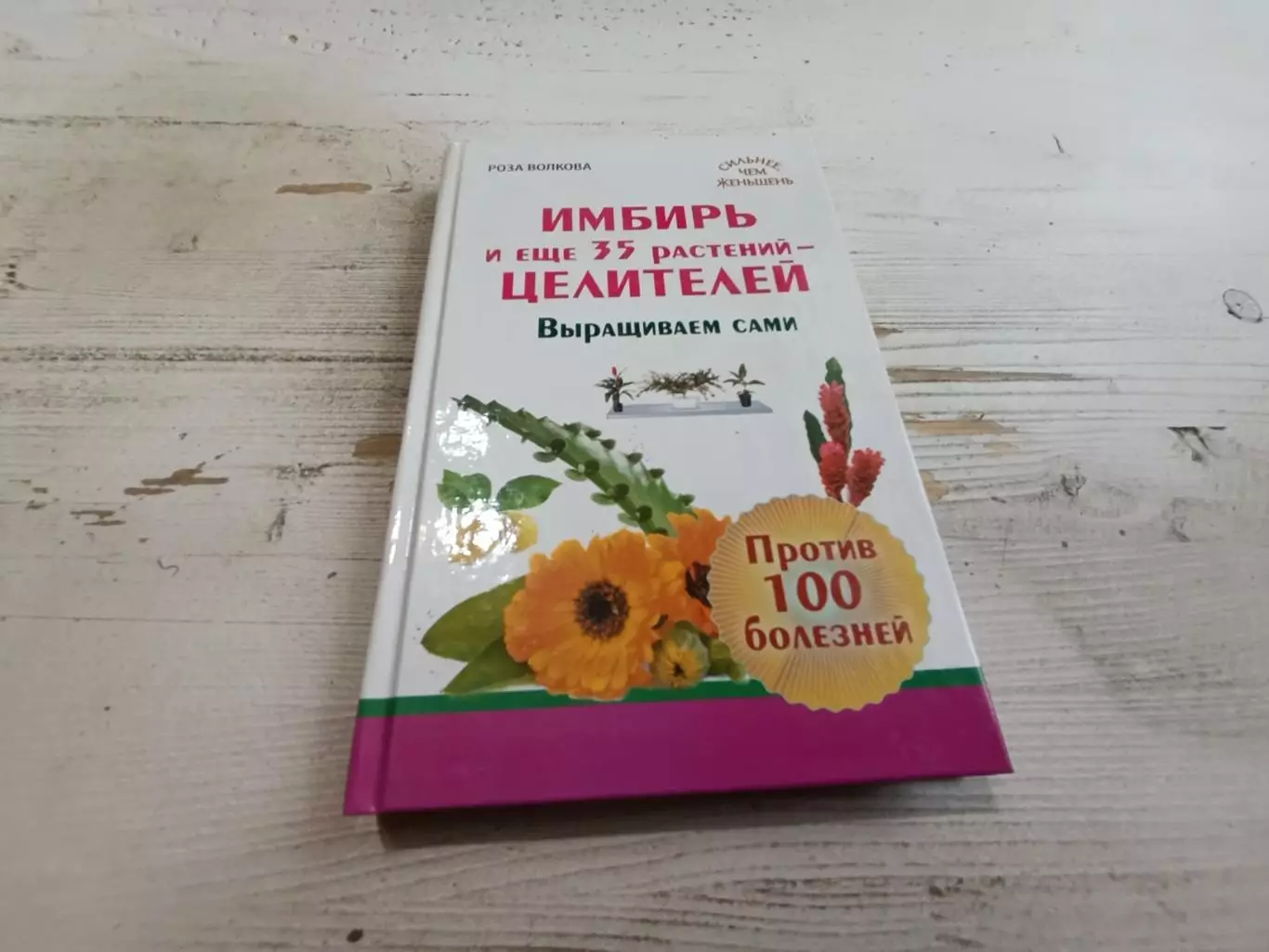 Роза Волкова Имбирь и еще 35 растений целителей Выращиваем сами
