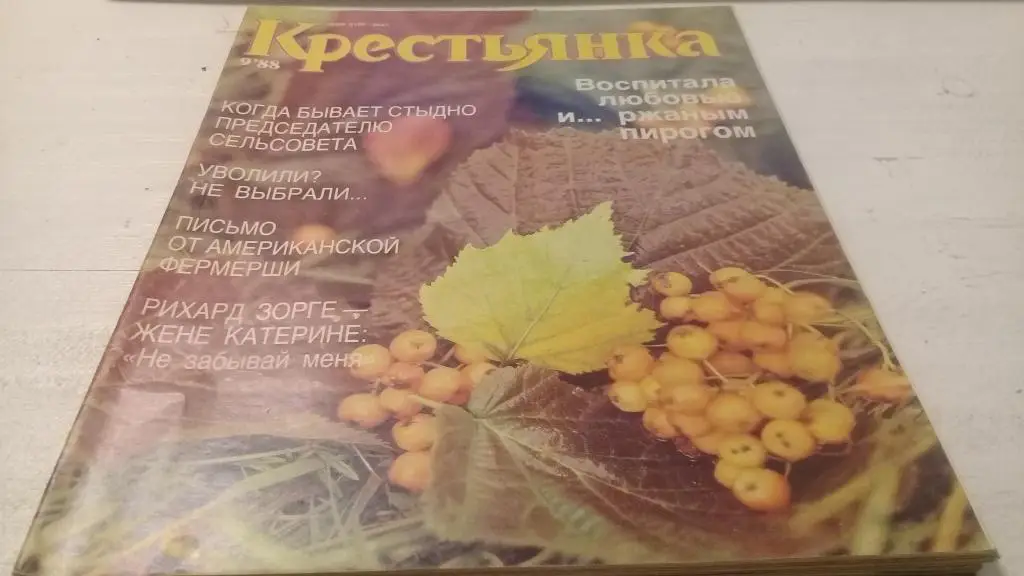 Журнал Крестьянка 1988 г. № 9