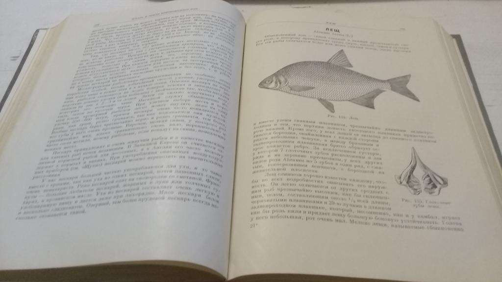 Л.П.Сабанеев Жизнь и ловля пресноводных рыб 1960г. 668 страниц 2