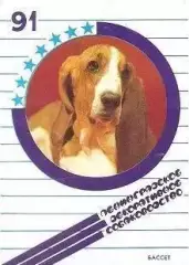 Календарик 1991г. Бассет.