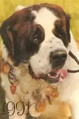 Календарик 1991 г. Собака победитель.