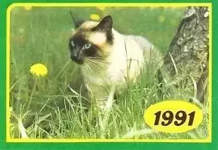 Календарик 1991 г. Кошки (1)
