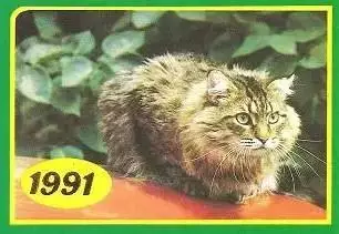 Календарик 1991 г. Кошки (2)
