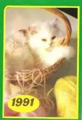 Календарик 1991 г. Кошки (4)