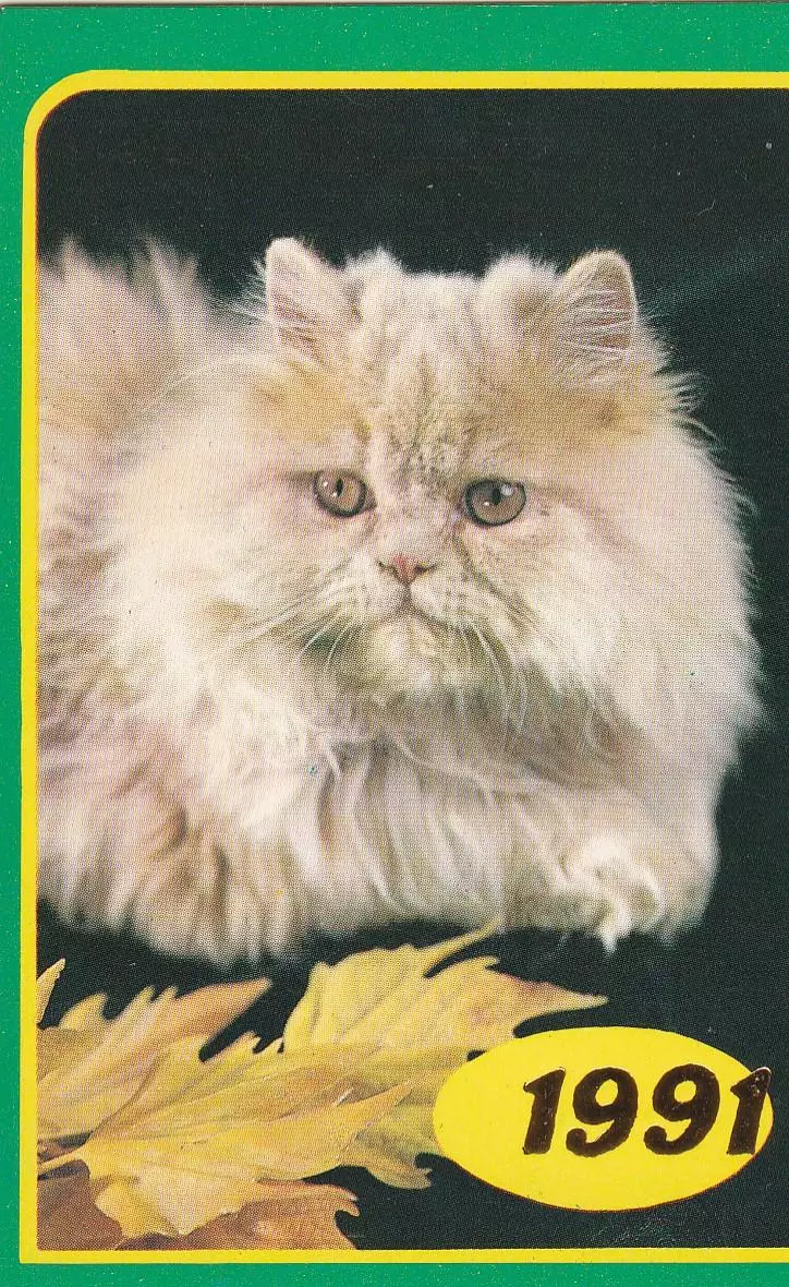 Календарик 1991 г. Кошки (5)