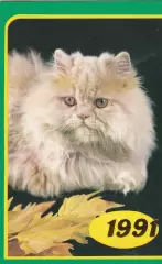 Календарик 1991 г. Кошки (5)