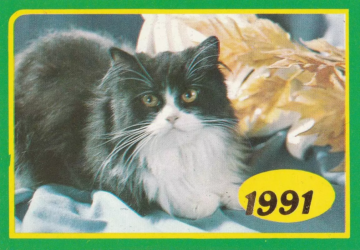 Календарик 1991 г. Кошки (6)