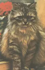 Календарик 1989 г. Кошки (7)