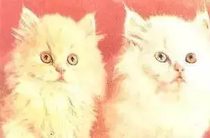 Календарик 1989 г. Кошки (8)