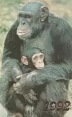 Календарик 1992 г. Обезьянки