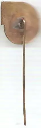 Федерация футбола Брунея. (П) 1