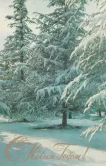 С Новым годом! (716).