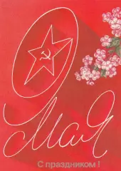 С праздником Победы! (16)