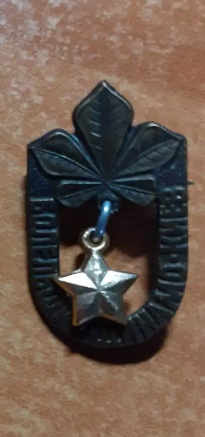 Болельщик Динамо Киев. (П) Самопал. 2