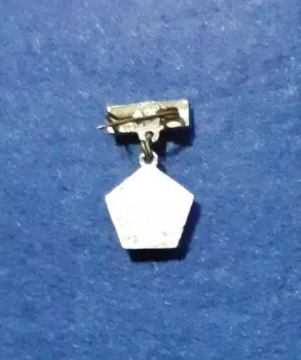 Космос (3).Вымпел, который был доставлен на Луну АМС Луна-9. Герб СССР 1