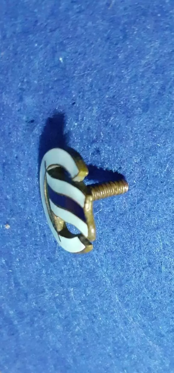 Членский знак ДСО Строитель. 4