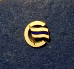 Членский знак ДСО Строитель.