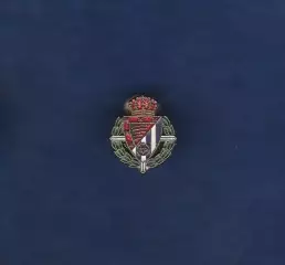 Вальядолид Вальядолид. Испания. (Real Valladolid Club de F?tbol).