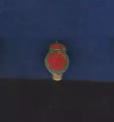 Мальорка Пальма-де-Мальорка. Испания. (Real Club Deportivo Mallorca)