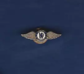 Челси Лондон. Англия. (Chelsea Football Club)