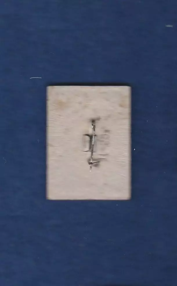 Космос (1539). Международные полеты в космос: СССР - ЧССР. Почта СССР 32к. 1