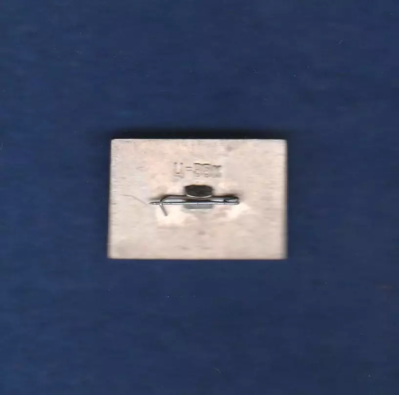 Космос (1542). ВОСХОД-2 1965 1