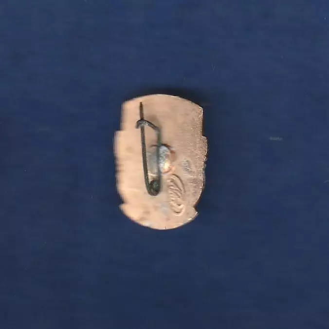 Флаг. Прапор. Тризуб. Україна незалежна 24.08.91. Україна. Патріотика. (8) 1
