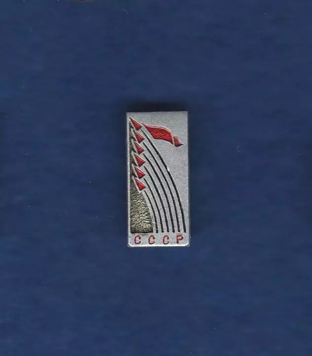 Космос (11). Восток-5, Восток-6.