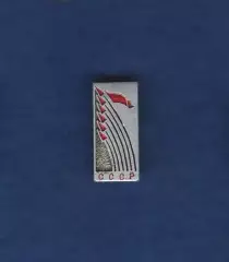 Космос (11). Восток-5, Восток-6.