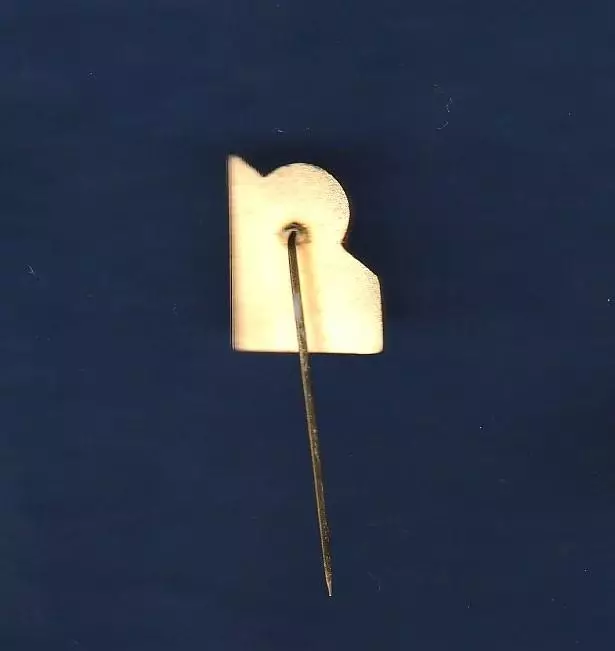 Fusballclub Tirol Innsbruck. Тироль Инсбрук. Австрия. 1