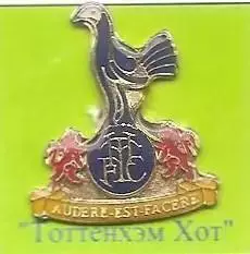 Tottenham Hotspur Football Club. Тоттенхэм Хотспур Лондон. Англия. 2