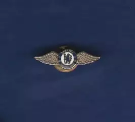 Chelsea Football Club. Челси Лондон. Англия.
