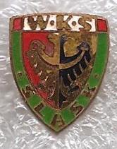 Wroclawski Klub Sportowy Slask Wroclaw SA (Шлёнск Вроцлав. Польша)