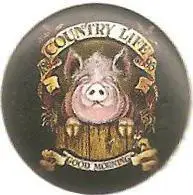 Иностранный значок. (23)