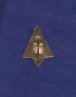 Космос (1227). Протон-1. 1