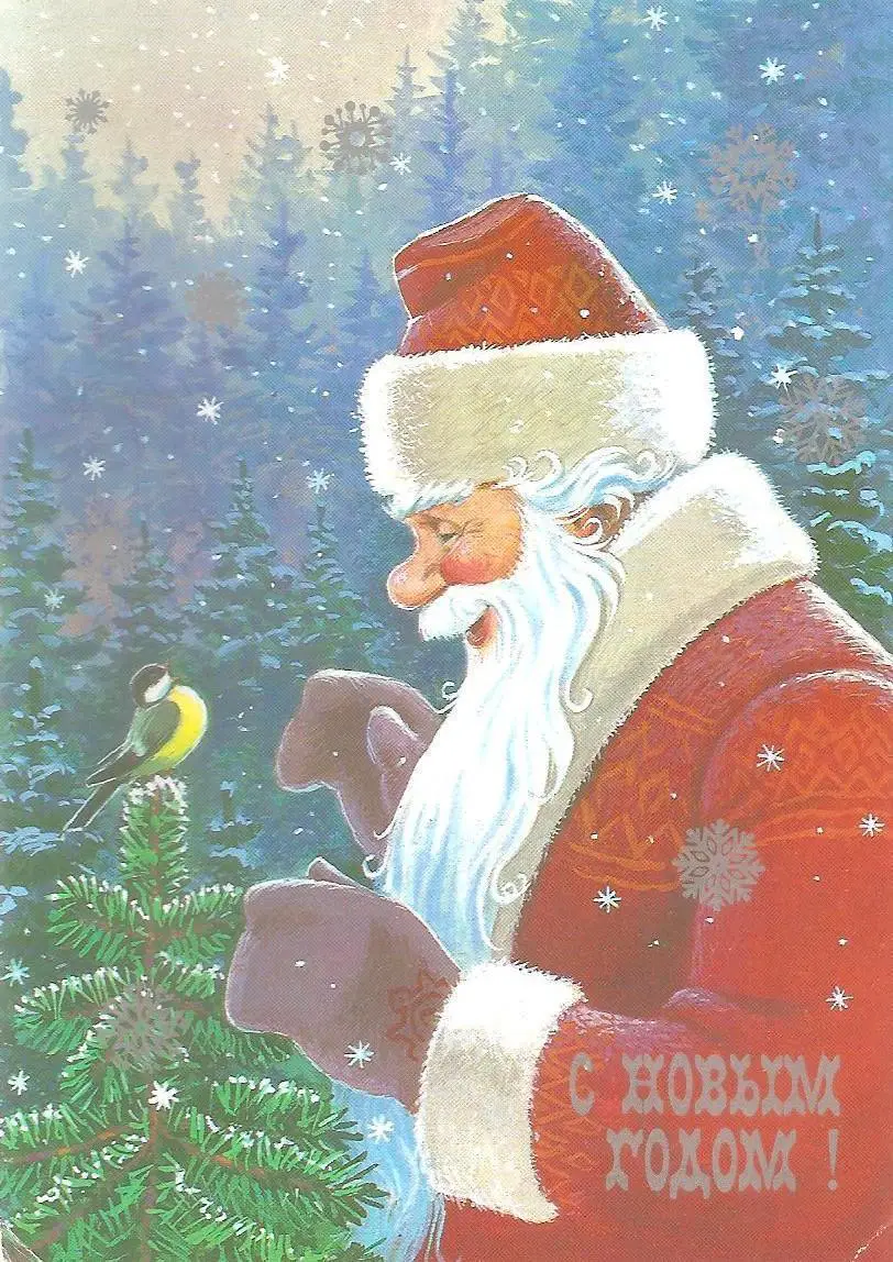 С Новым годом! (762-13).