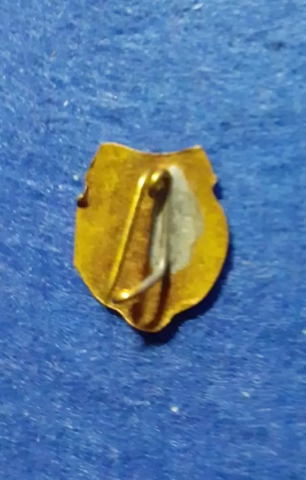 Вашаш Иззо Будапешт. Венгрия. 1