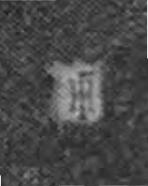 Значок Новогиреевское спортивное общество 3