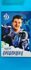 Андрей Николишин - Динамо (Москва).