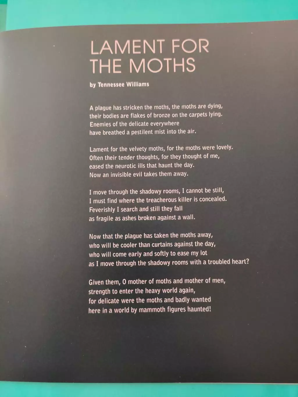 Программа - A STREETCAR NAMED DESIRE by TENEESSEE WILLIAMS.. 5