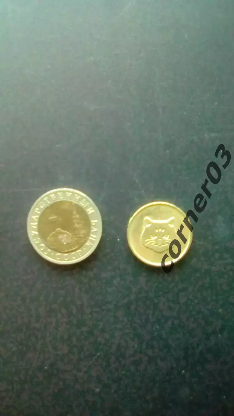 Жетон №5 Гурмэ