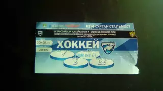 Курган - Тула 17.12.2026