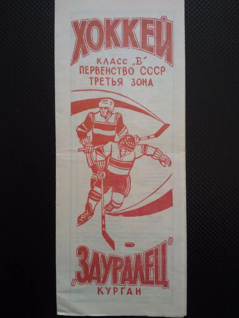 Курган 1976/77. Хоккей