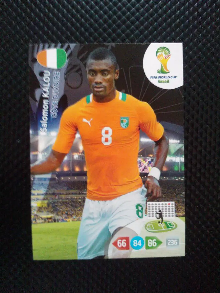 PANINI Чемпионат Мира 2014. Adrenalyn XL №101 Калу