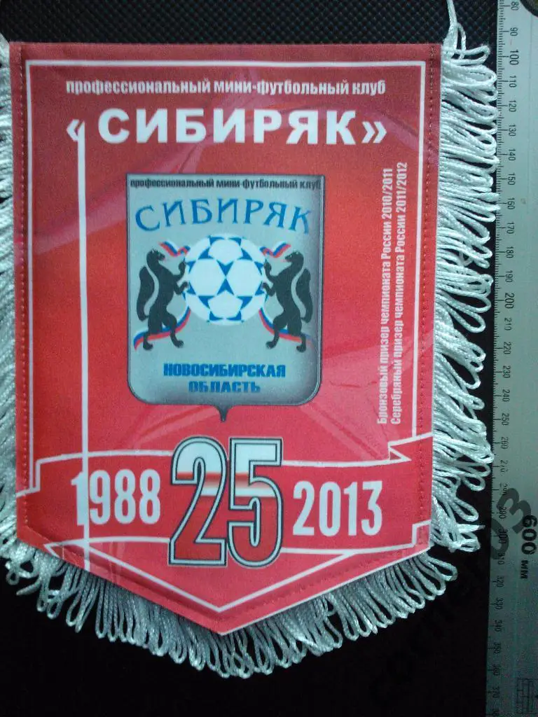 ПМФК Сибиряк - 25 лет, юбилейный!!!